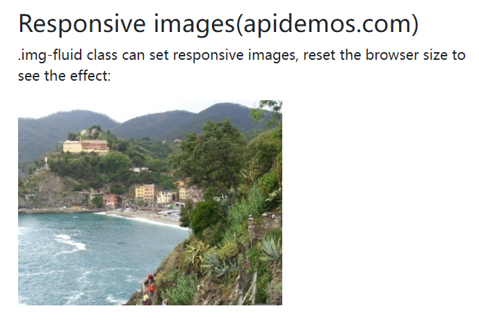 Bootstrap 5 Images