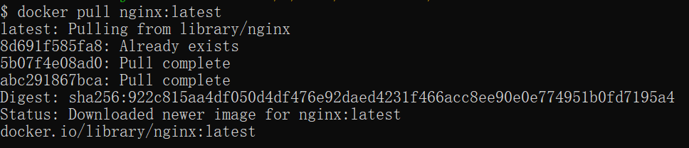 Docker Install Nginx