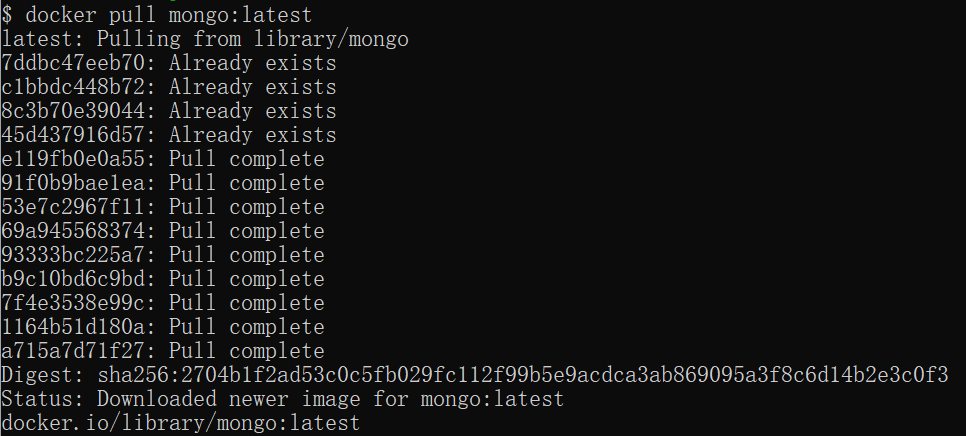 Docker Install MongoDB