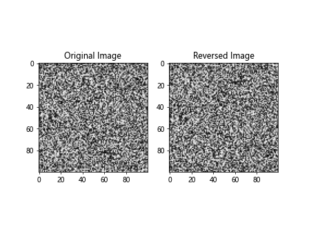 Numpy Reverse