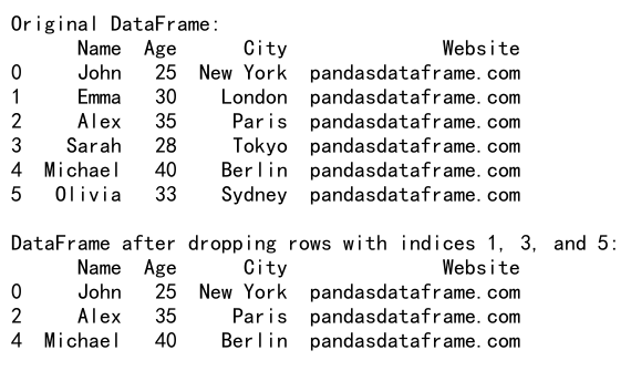 Pandas Drop Row