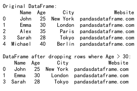 Pandas Drop Row